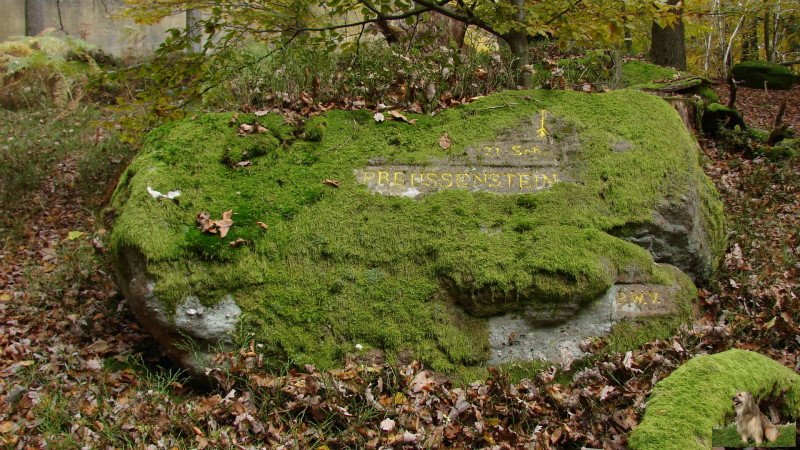 Ritterstein Nr. 080-2 Preussenstein.JPG - Ritterstein Nr.80  Preussenstein